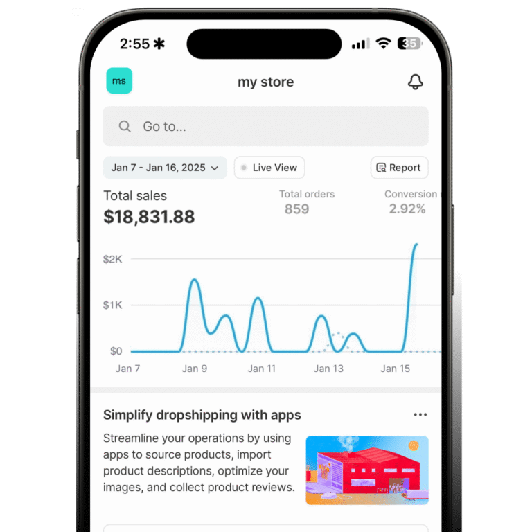 Shopify dashboard showing $18,831.88 in sales